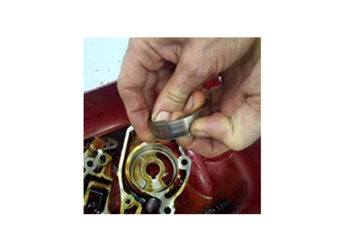 Timing chain guides